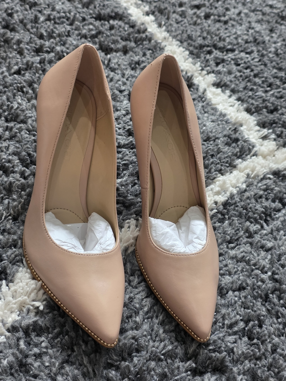 Coach Women's Pointed Toe Pumps in Blush